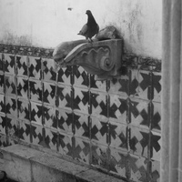 pigeon on fountain